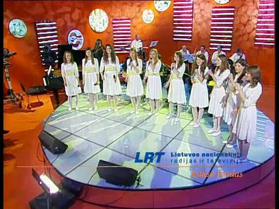 Dainų dainelė 2008 m. TV konkursas