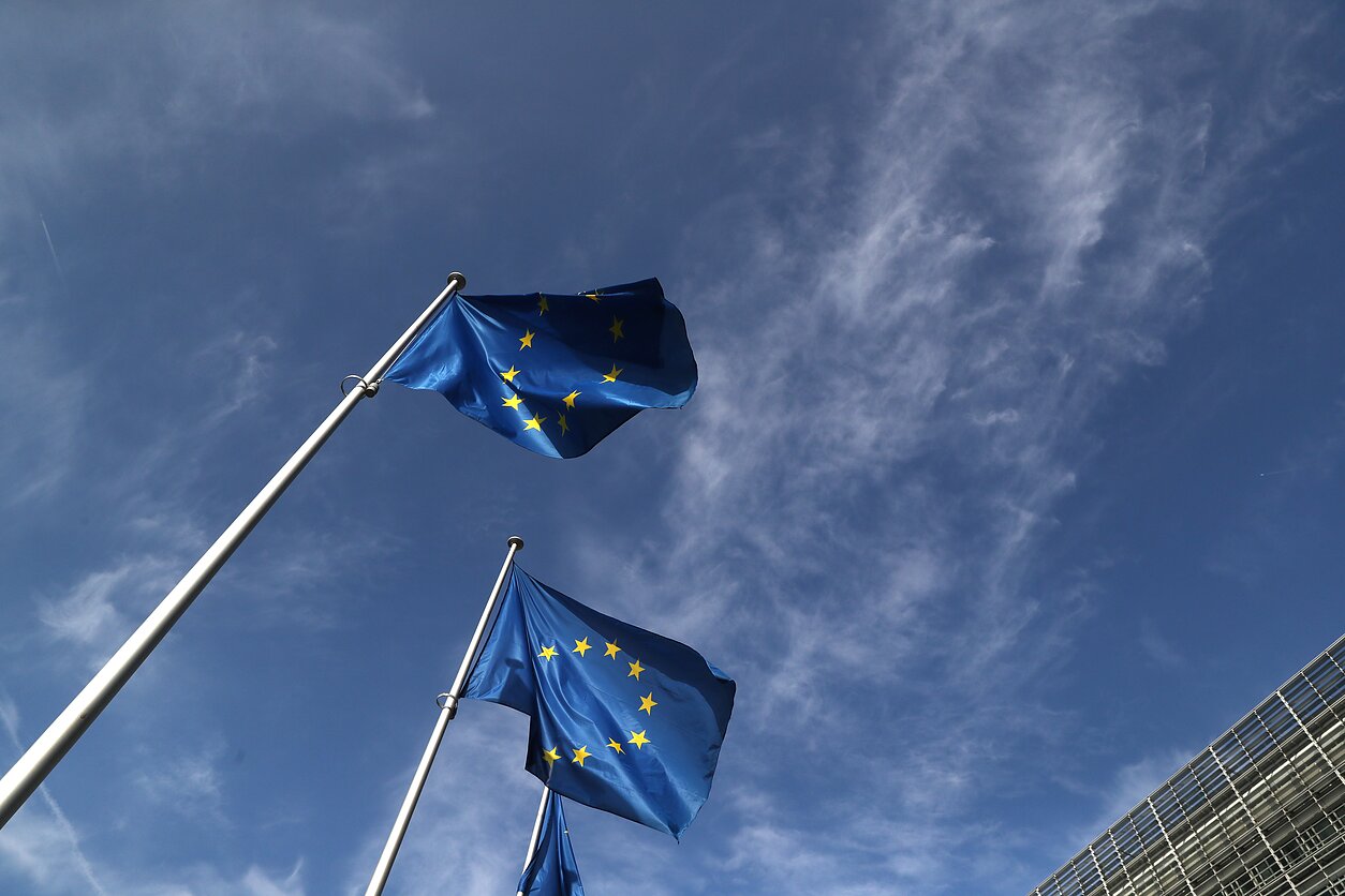 Europos Sąjungos vėliava
