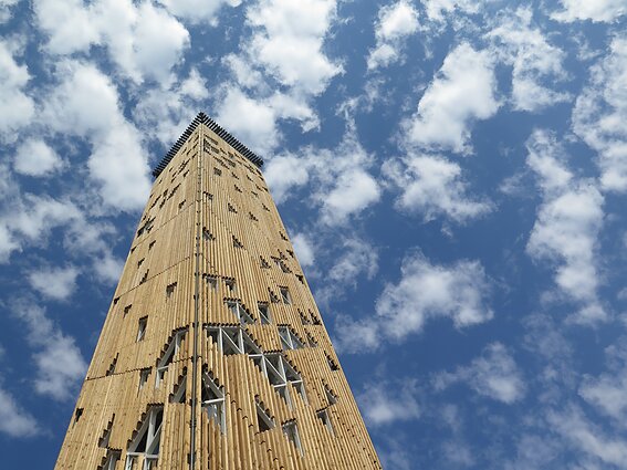 Birštono apžvalgos bokštas