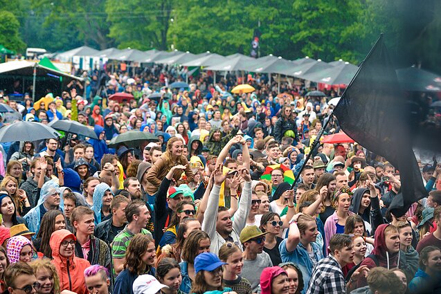 Festivalio „Bliuzo naktys“ akimirka