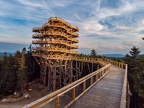 Medžių lajų takas Lenkijoje