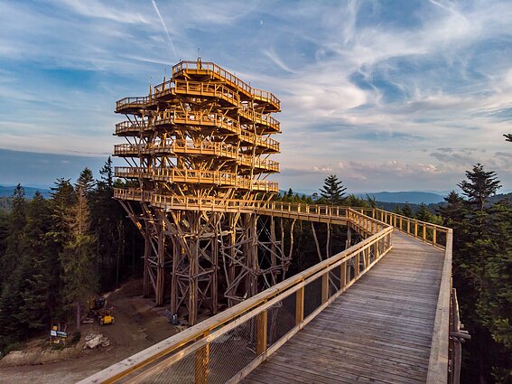 Medžių lajų takas Lenkijoje
