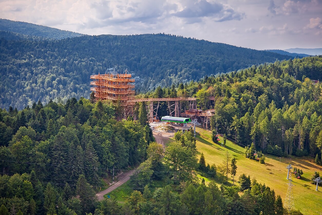 Medžių lajų takas Lenkijoje