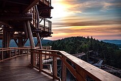 Medžių lajų takas Lenkijoje