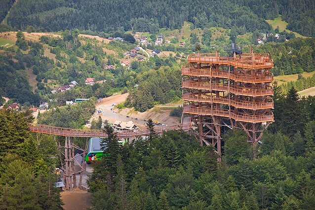 Medžių lajų takas Lenkijoje