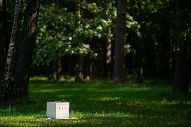 Vingio parke pristatytos erkių gaudyklės
