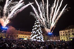 Kauno Kalėdų eglė 2018 Kauno Kalėdų eglė 2018