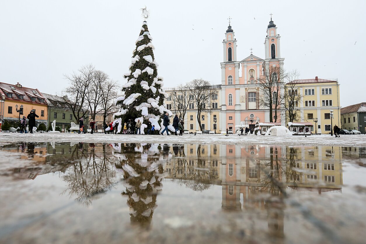 Kauno Kalėdų eglė 2018