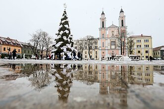 Kauno Kalėdų eglė 2018 Kauno Kalėdų eglė 2018