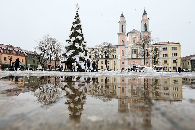 Kauno Kalėdų eglė 2018