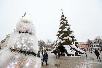 Kauno Kalėdų eglė 2018