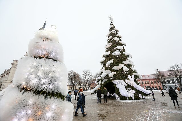 Kauno Kalėdų eglė 2018