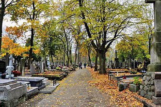 Kapinės