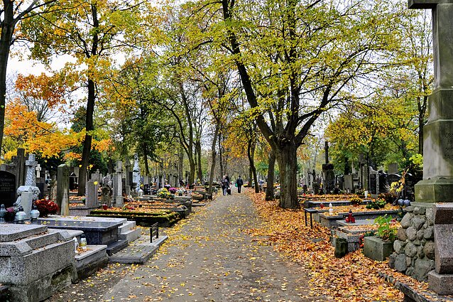 Kapinės