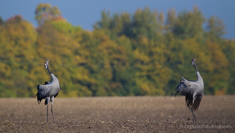 Lygiai prieš 7 metus rugsėjis jau buvo spalvotas