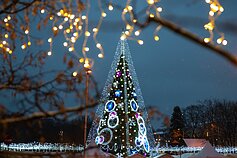Vilniaus Kalėdų eglutė 2018 m.