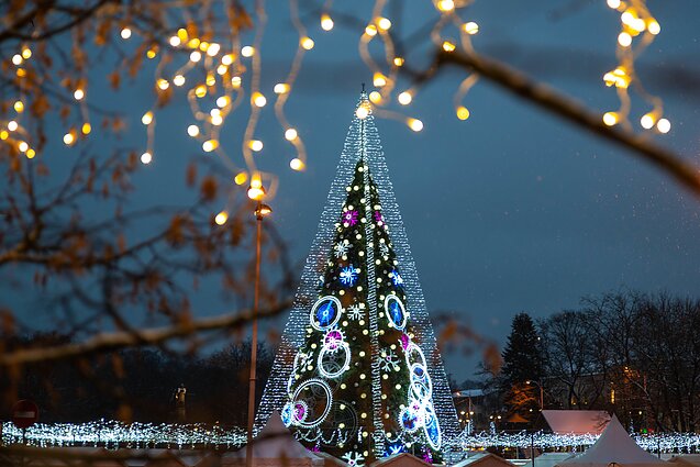 Vilniaus Kalėdų eglutė 2018 m.
