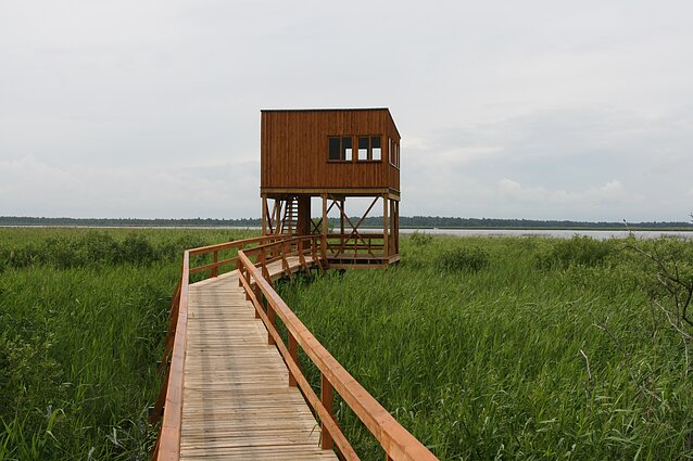 Žuvinto gamtos takas