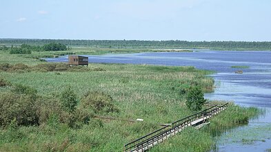 Žuvinto gamtos takas