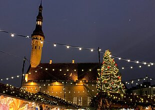 Talino Kalėdų eglė Rotušės aikštėje