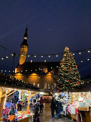 Talino Kalėdų eglė Rotušės aikštėje