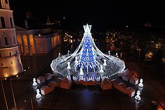 Vilniaus Kalėdų eglė Katedros aikštėje, oficialaus įžiebimo išvakarėse