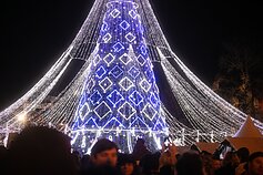 Vilniuje įžiebta pagrindinė sostinės Kalėdų eglė Vilniuje įžiebta pagrindinė sostinės Kalėdų eglė