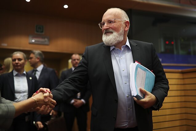 Fransas Timmermansas