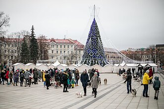 Akcijos „Parodyk augintiniui eglutę“ akimirkos Akcijos „Parodyk augintiniui eglutę“ akimirkos