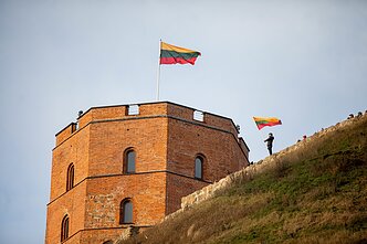 Lietuvos vėliava
