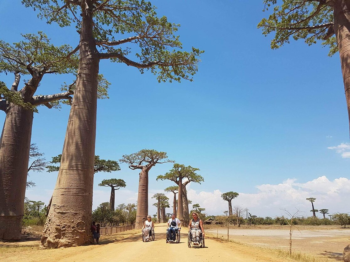 Aušrinės Packevičiūtės kelionės