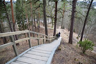 Šilėnų pažintinis takas