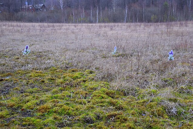 Šilėnų pažintinis takas