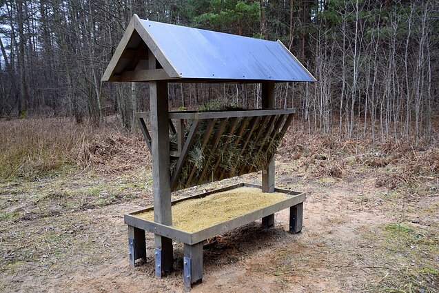 Šilėnų pažintinis takas