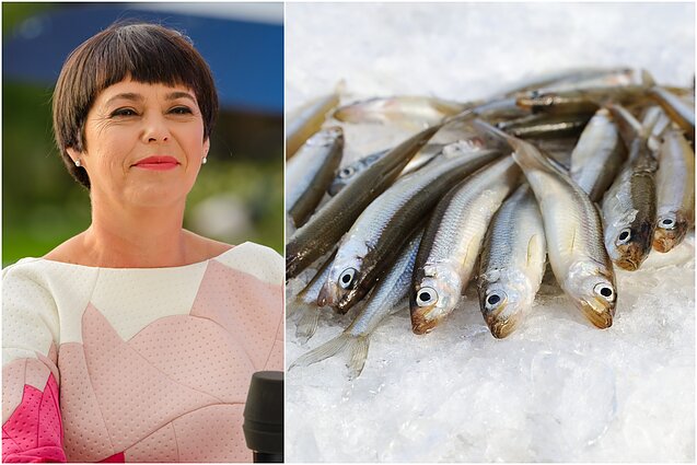 Nomeda Marčėnaitė, stintos