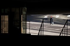 Lietuvoje paskelbtas karantinas