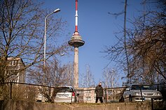 Karantinas Lietuvoje