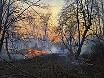 Gaisras Černobylyje