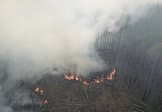 Gaisras Černobylyje