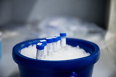 VU Gyvybės mokslų centro laboratorija