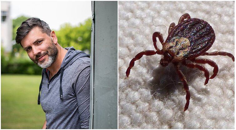 Šiltų orų sezonas – naujas, o problema – sena: kaip kuo efektyviau apsisaugoti nuo erkių?