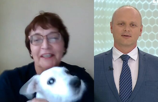 Pokalbyje apie politiką – nenuorama šuniukas: pasisakyti leido tik paimtas ant kelių