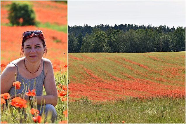 Aguonų laukas netoli Trakų