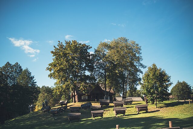 Turizmas Ignalinoje, Ignalina