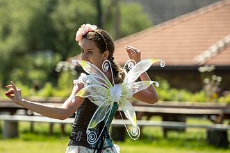 Pakruojo dvaras