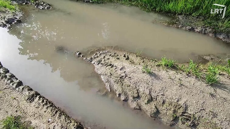 Pamatykite patys: kaip atrodo skydvėžio buveinė?