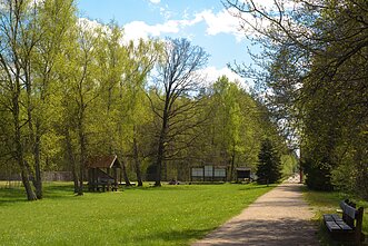 Pašilių stumbrynas