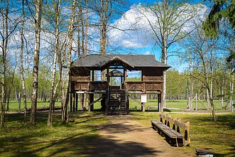 Pašilių stumbrynas
