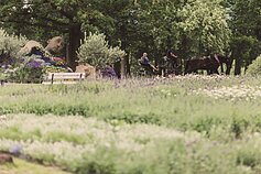 Pakruojo dvare vyksta gėlių festivalis