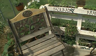 Tinklaraštininkės šiltnamyje – ir daržovės, ir ramybės oazė